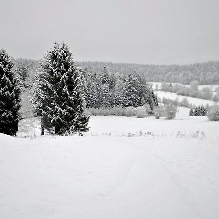 Fewo Radi An Der Buchberger Leite Hohenau Exterior foto