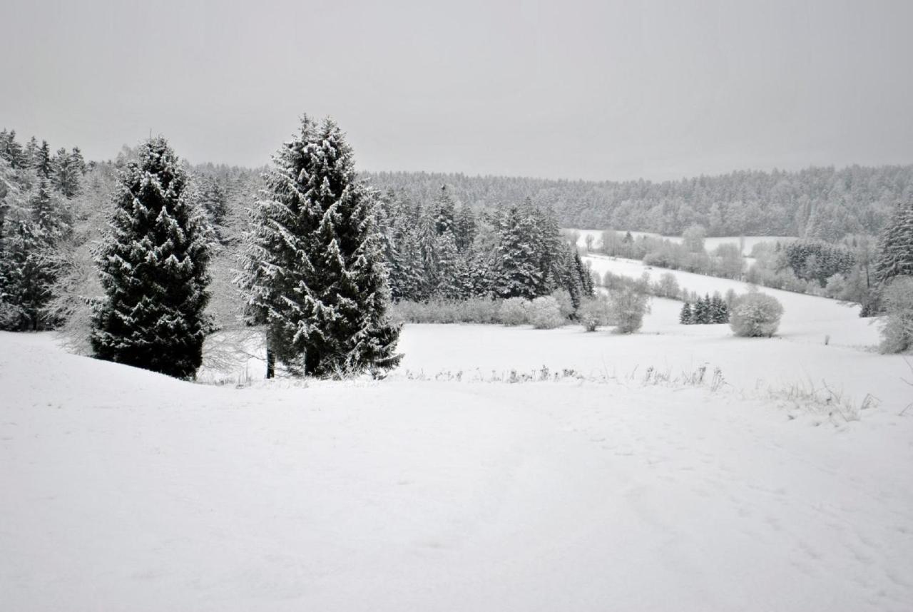 Fewo Radi An Der Buchberger Leite Hohenau Exterior foto