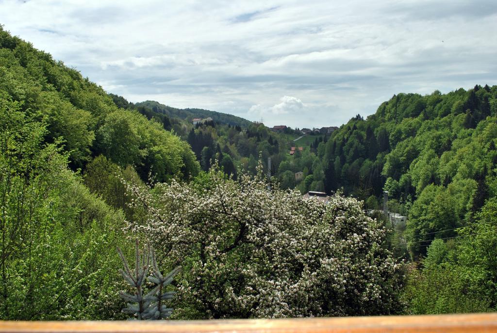 Fewo Radi An Der Buchberger Leite Hohenau Exterior foto