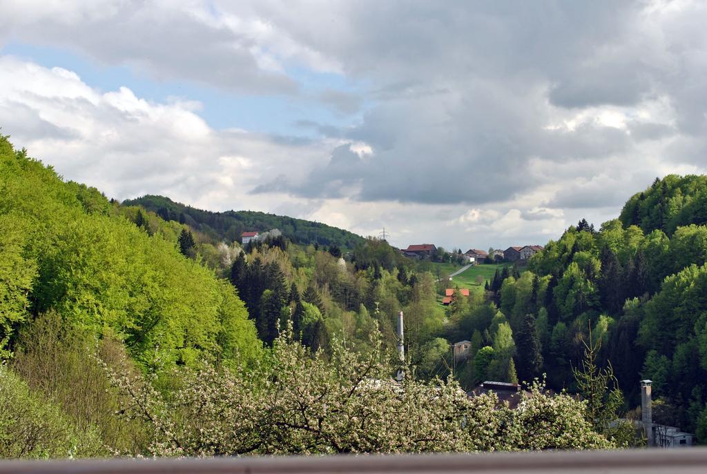 Fewo Radi An Der Buchberger Leite Hohenau Exterior foto